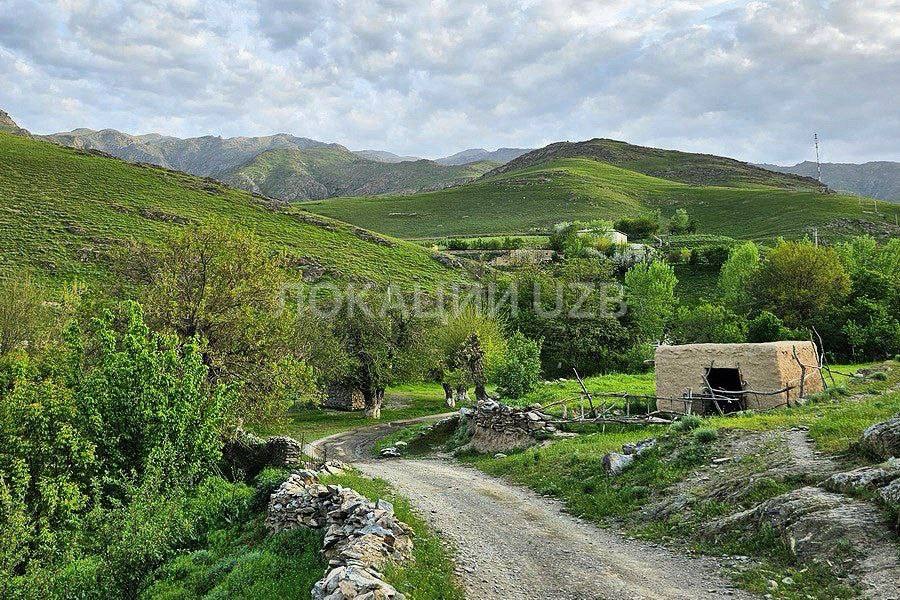 Nuratau Homestay: 2 Days from Samarkand scene 3